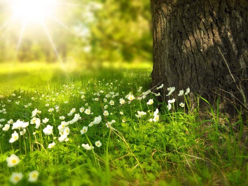 Ateliers sophrologie bazas langon - paroles de corps - Sofro balade